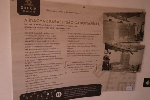 250510 11 DelAlf 029