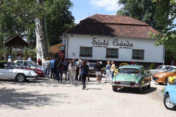 250510 11 DelAlf 049