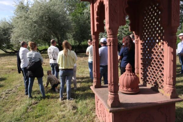 250510 11 DelAlf 100