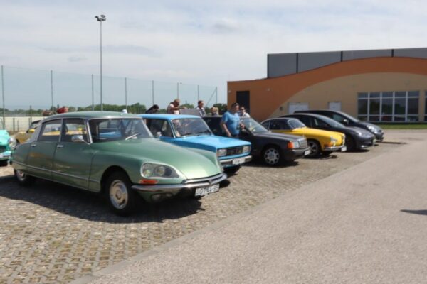 250510 11 DelAlf 131