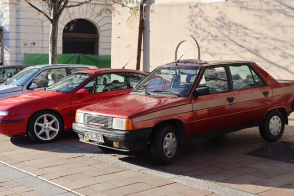 251230 Szilv Gur 005