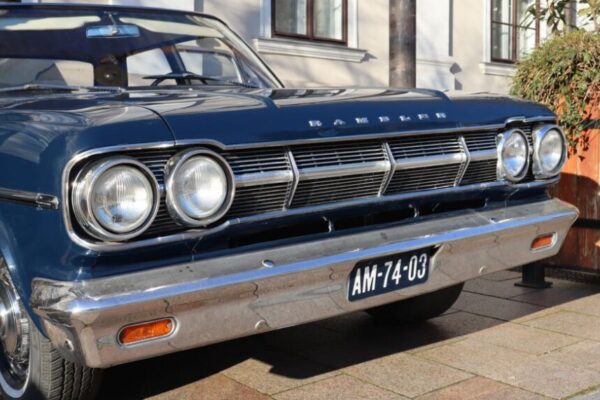 251230 Szilv Gur 006