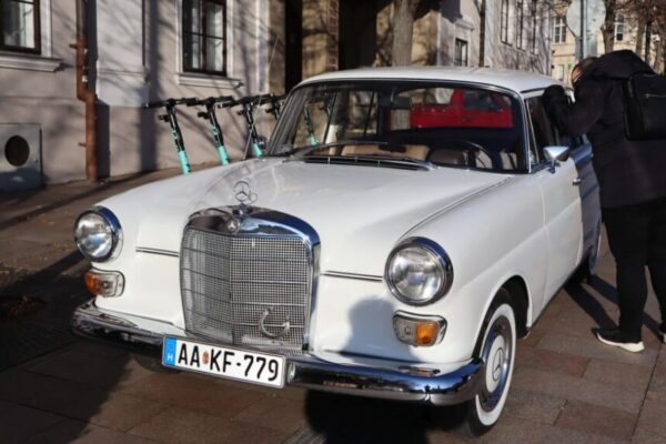 251230 Szilv Gur 007