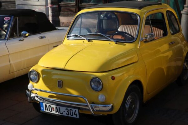 251230 Szilv Gur 015