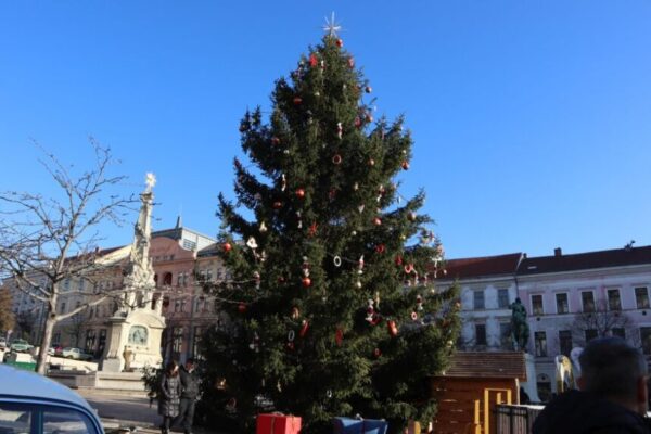 251230 Szilv Gur 022