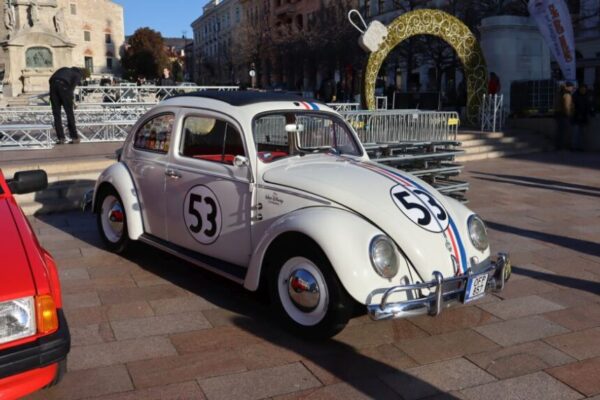 251230 Szilv Gur 026