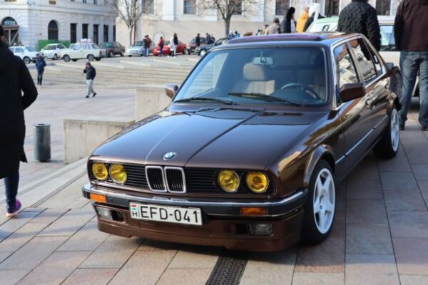 251230 Szilv Gur 035