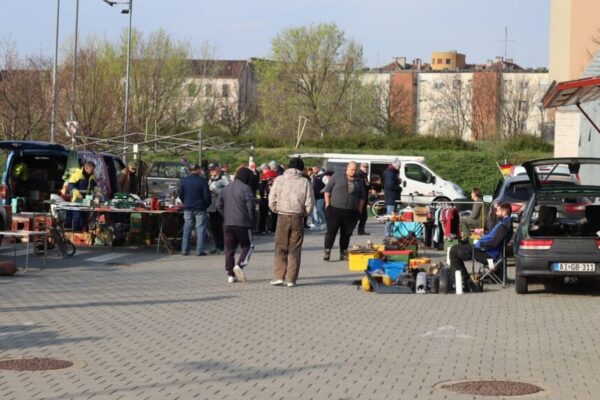 IMG 5693